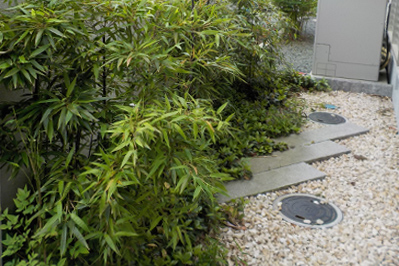 雑草対策